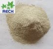 Ferrous Sulphate Monohydrate 60Mesh